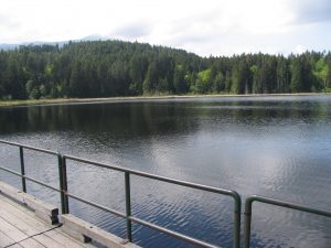 Chemainus lake view